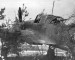 A_camouflaged_Il-2_ground_attack_aircraft.jpg